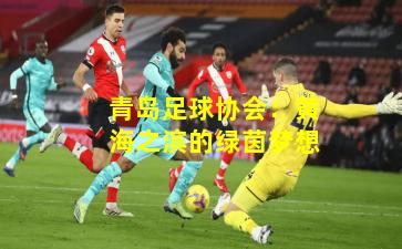 青岛足球协会：黄海之滨的绿茵梦想