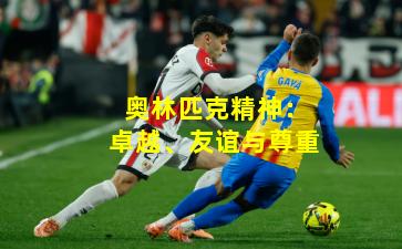 奥林匹克精神：卓越、友谊与尊重