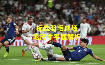 标准羽毛球场地尺寸平面解析